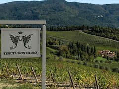 El mayor robo de vinos de la Toscana: en dos días siete personas encapuchadas se llevaron unos cinco millones de euros en vino