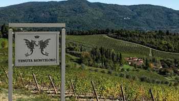 El mayor robo de vinos de la Toscana: en dos días siete personas encapuchadas se llevaron unos cinco millones de euros en vino