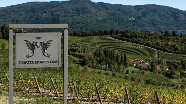 El mayor robo de vinos de la Toscana: en dos días siete personas encapuchadas se llevaron unos cinco millones de euros en vino