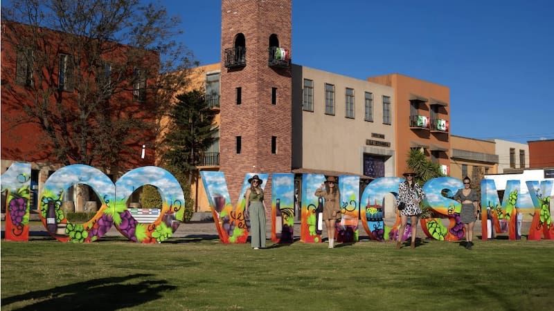 Imagen conmemorativa de 50 aniversario de Viñedos La Redonda.