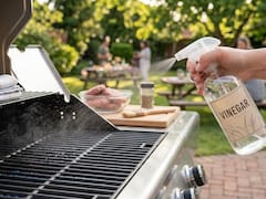 Spraying vinegar on the grill before barbecuing: why they recommend doing it and what it is for