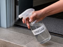 Sprinkling vinegar on the front door and home entrance: why it’s so recommended and what it’s for