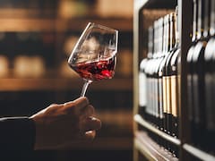 Neuquén celebra la Vendimia y apuesta por la diversificación productiva