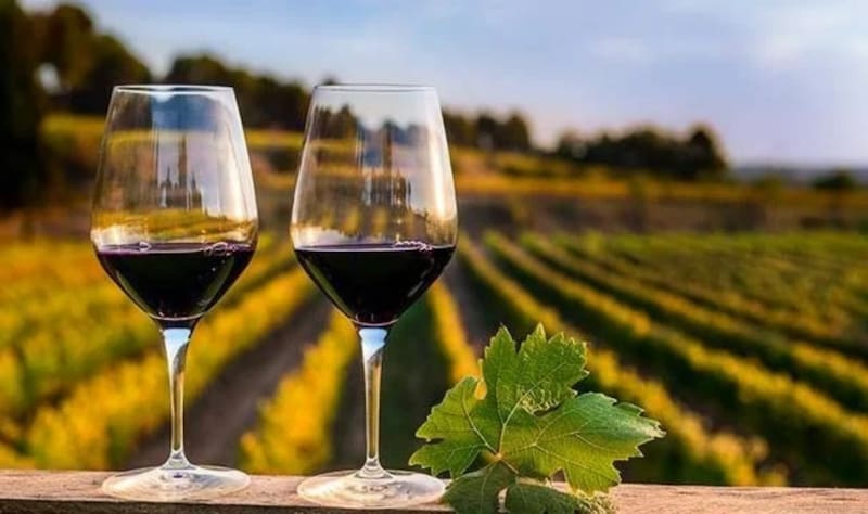 Vino tinto o vino blanco: en qué se diferencian y cuál conviene comprar si te gusta el jugo fermentado