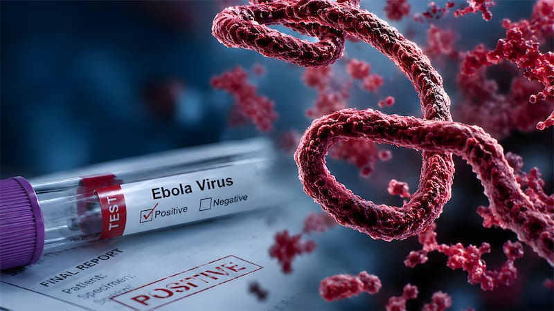 La declaración sanitaria aplicará a quienes viajen desde México, incluso si nunca visitaron los países africanos sujetos a las restricciones sanitarias.