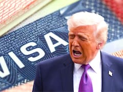 Sin visa estadounidense: Estados Unidos dejará entrar legalmente a todos los extranjeros que superen esta prueba