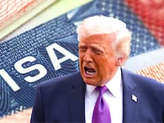 Ni visa, ni pasaporte, ni Green Card: Estados Unidos dejará entrar legalmente a todos los extranjeros que muestren este documento