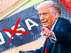 Official | California, Florida, Texas, New York and Illinois will allow legal entry and stay without a U.S. visa for those who can complete the ESTA authorization