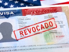 Medida oficial | California, Texas y Florida revocan una por una todas las visas americanas y prohíben la entrada a las personas que hayan cometido este error
