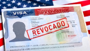 Medida oficial | California, Texas y Florida revocan una por una todas las visas americanas y prohíben la entrada a las personas que hayan cometido este error