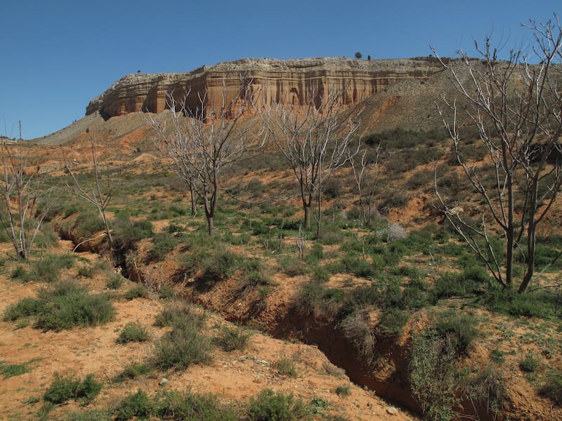 Este enclave natural de Aragón concentra formaciones erosionadas y contrastes de color que lo convierten en uno de los paisajes más singulares de la provincia.