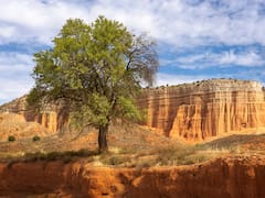 No es el Gran Cañón del Colorado: este paisaje de Aragón sorprende por sus colores y relieve