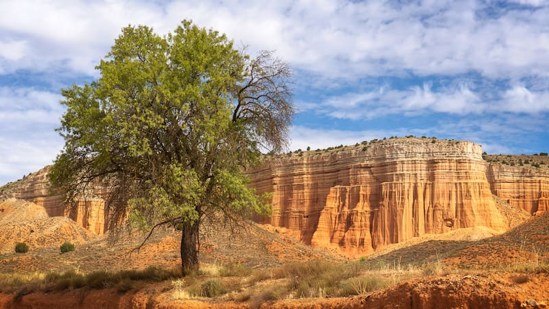 Este paisaje en Aragón sorprende por sus colores ocres, su relieve erosionado y una ruta natural a pocos kilómetros de Teruel.
