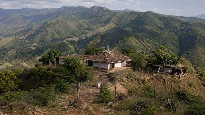 Antônio Pedro Matias, conocido como Pedro, nació en el medio de la montaña y continúa viviendo allí 62 años después. (Fuente: ChatGPT)
