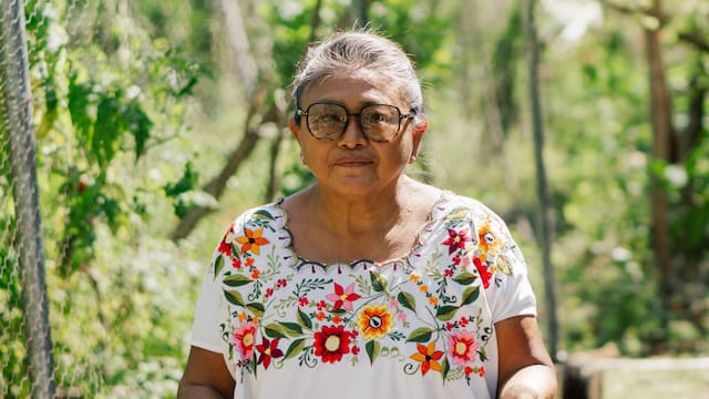 Hasta 70,000 al mes: el impactante costo de envejecer en una casa de retiro en México, según Mapfre
