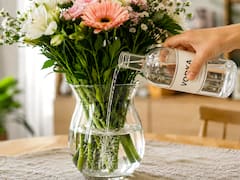 Diluir vodka en el agua del florero: para qué sirve y por qué lo recomiendan