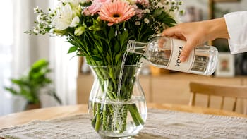 Diluir vodka en el agua del florero: para qué sirve y por qué lo recomiendan