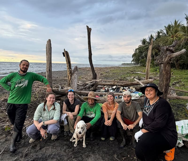 Buscan voluntarios para vivir en una playa paradisiaca en Costa Rica: ofrecen alojamiento y 3 comida diarias por cuidar tortugas marinas.