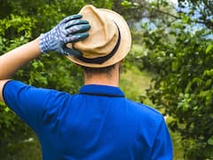 Buscan voluntarios para vivir en la campiña francesa: ofrecen alojamiento y comida a cambio de cinco horas de trabajo al día