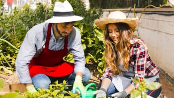 Buscan parejas para vivir en un pueblo histórico de Francia: ofrecen habitación privada y comida a cambio de cinco horas de trabajo al día