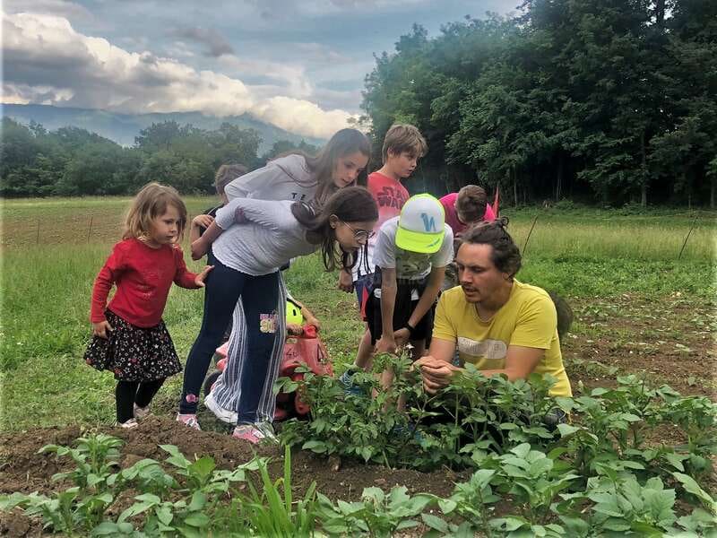 Una familia italiana abrió una convocatoria en Workaway para quienes quieran instalarse durante varias semanas en una casa rural de Belluno, en los Dolomitas.