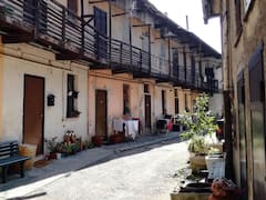 Buscan voluntarios para cosechar aceitunas a cambio de alojamiento y comida gratis en una aldea europea de 150 habitantes