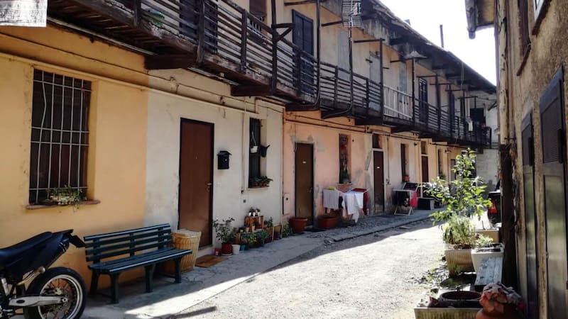 Buscan voluntarios para cosechar aceitunas a cambio de alojamiento y comida gratis en una aldea europea de 150 habitantes