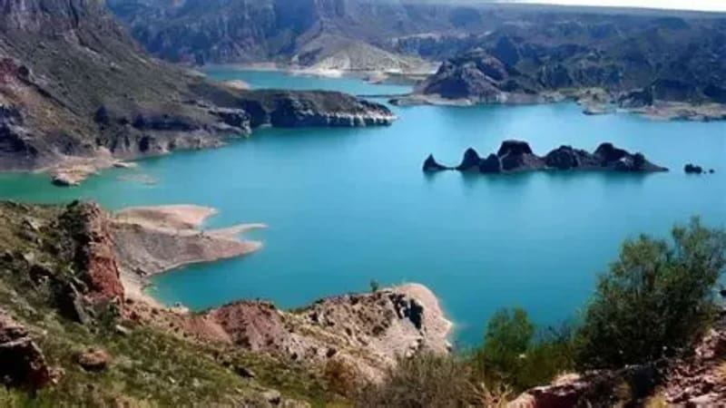 Buscan voluntarios para vivir en San Rafael a cambio de colaborar 20 horas a la semana en una finca.