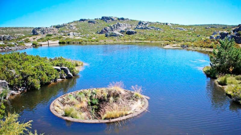Buscan voluntarios argentinos para vivir gratis en un parque natural de Portugal: ofrecen alojamiento y pocas horas de trabajo semanales.