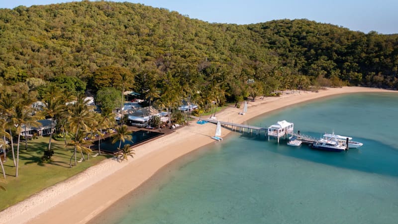 Buscan voluntarios para vivir gratis en un isla de Australia: ofrecen alojamiento, comida y pocas horas de trabajo a la semana.