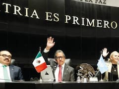El Senado aprobó la reforma que obligaría a candidatos de cargos ejecutivos a tener solo nacionalidad mexicana: la decisión final será de los congresos estatales