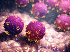 Vuelve la enfermedad más temida: se confirmó que ya hay casos activos en gran parte del país y piden extrema precaución