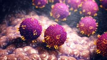 Vuelve la enfermedad más temida: se confirmó que ya hay casos activos en gran parte del país y piden extrema precaución