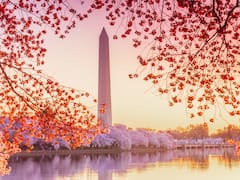 Estados Unidos busca voluntarios para mudarse y recibir 20.000 dólares con trabajo asegurado
