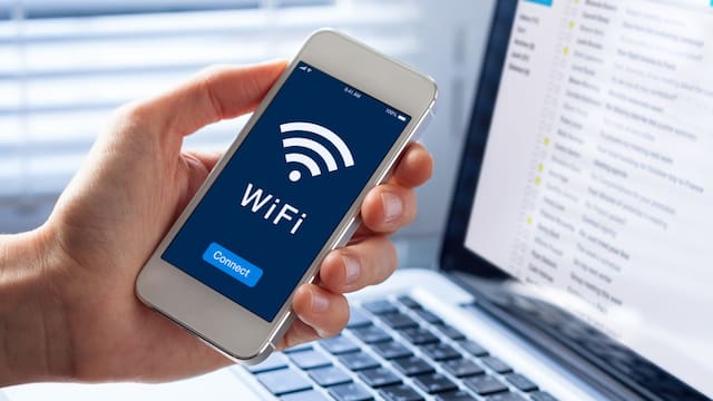 Adiós al WiFi: confirman que las ondas de los celulares causan daños irreversibles en humanos y animales