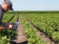 Para la Federación Rural el acuerdo Mercosur-UE “abre oportunidades concretas para ampliar mercados”