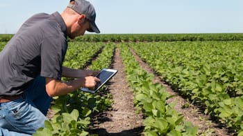 Para la Federación Rural el acuerdo Mercosur-UE “abre oportunidades concretas para ampliar mercados”
