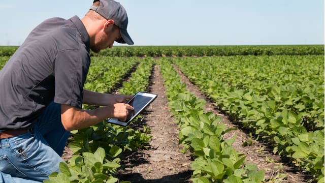 Para la Federación Rural el acuerdo Mercosur-UE “abre oportunidades concretas para ampliar mercados”