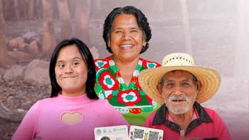 Es oficial | Ya puedes obtener tu credencial del Servicio Universal de Salud: el detalle para menores de edad