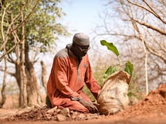 Nadie apostaba por esas tierras, hoy producen el doble y valen millones: el secreto del agricultor que logró aumentar su producción más del 100%