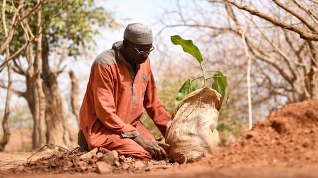 Nadie apostaba por esas tierras, hoy producen el doble y valen millones: el secreto del agricultor que logró aumentar su producción más del 100%