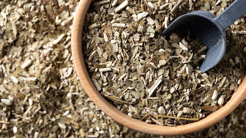 Yerba con y sin palo: qué tienen de diferente y cuál conviene comprar
Fuente: Shutterstock